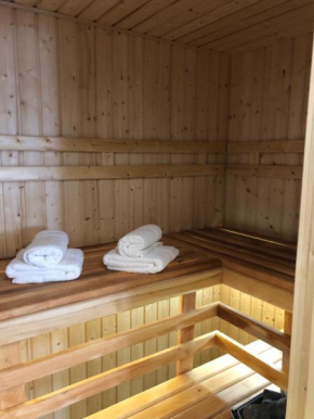 Family & Business Sauna Apartments Sienkiewicza No1 Centrum Plac Lliteratów- 1 Bedroom with Private Sauna, Bath with Hydromassage, Parking